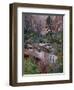 Evergreens, Red Maples, and Red Rock on the Emerald Pools Trail, Zion National Park, Utah, USA-James Hager-Framed Photographic Print