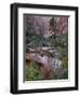 Evergreens, Red Maples, and Red Rock on the Emerald Pools Trail, Zion National Park, Utah, USA-James Hager-Framed Photographic Print