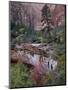 Evergreens, Red Maples, and Red Rock on the Emerald Pools Trail, Zion National Park, Utah, USA-James Hager-Mounted Photographic Print