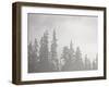 Evergreens Surrounded by Fog, Jasper National Park, UNESCO World Heritage Site, Alberta, Canada-James Hager-Framed Photographic Print