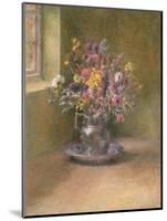 Everlasting Flowers-Joyce Haddon-Mounted Giclee Print