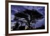 Everlasting Hope-Staffan Widstrand-Framed Giclee Print