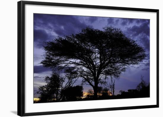 Everlasting Hope-Staffan Widstrand-Framed Giclee Print