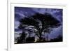 Everlasting Hope-Staffan Widstrand-Framed Giclee Print