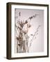 Everlasting-Design Fabrikken-Framed Photographic Print