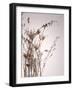 Everlasting-Design Fabrikken-Framed Photographic Print