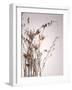 Everlasting-Design Fabrikken-Framed Photographic Print