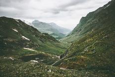 Coniferous Forest Tree Background Foggy Wild Woods Landscape Travel Concept-everst-Photographic Print