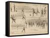 Everton V. West Bromich Albion at Liverpool-null-Framed Stretched Canvas