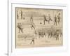 Everton V. West Bromich Albion at Liverpool-null-Framed Giclee Print