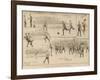 Everton V. West Bromich Albion at Liverpool-null-Framed Giclee Print