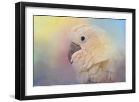 Every Day Is Colorful Umbrella Cockatoo-Jai Johnson-Framed Giclee Print