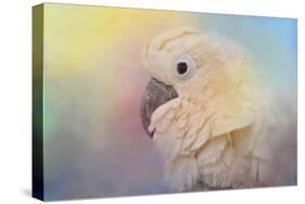 Every Day Is Colorful Umbrella Cockatoo-Jai Johnson-Stretched Canvas