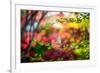 Every Little Thing-Philippe Sainte-Laudy-Framed Photographic Print