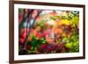 Every Little Thing-Philippe Sainte-Laudy-Framed Photographic Print