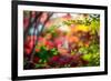 Every Little Thing-Philippe Sainte-Laudy-Framed Photographic Print