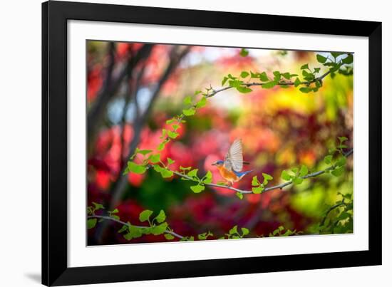 Every Little Thing-Philippe Sainte-Laudy-Framed Photographic Print