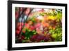 Every Little Thing-Philippe Sainte-Laudy-Framed Photographic Print