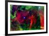 Every Rose has a Thorn Nebula Space-null-Framed Photo