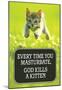 Every Time You Masturbate God Kills a Kitten Funny Poster Print-null-Mounted Poster