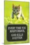 Every Time You Masturbate God Kills a Kitten Funny Poster Print-Ephemera-Mounted Poster