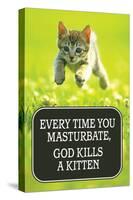 Every Time You Masturbate God Kills a Kitten - Funny Poster-Ephemera-Stretched Canvas