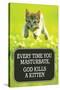 Every Time You Masturbate God Kills a Kitten - Funny Poster-Ephemera-Stretched Canvas