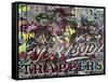 Everybody Trappers-Dan Monteavaro-Framed Stretched Canvas