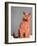 Everybody wants to be a cat-Anne Storno-Framed Giclee Print