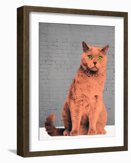 Everybody wants to be a cat-Anne Storno-Framed Giclee Print