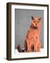 Everybody wants to be a cat-Anne Storno-Framed Giclee Print