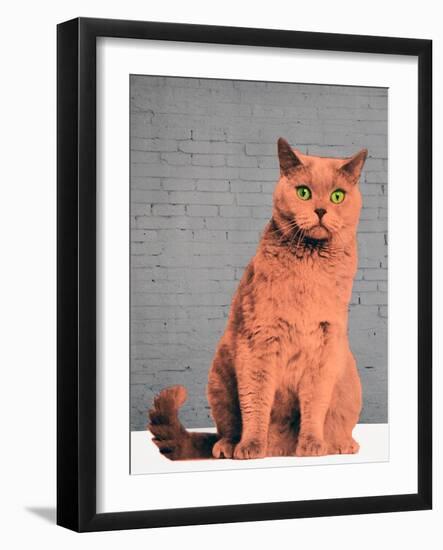 Everybody wants to be a cat-Anne Storno-Framed Giclee Print