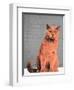 Everybody wants to be a cat-Anne Storno-Framed Giclee Print