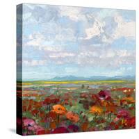 Everyday Beauty-Robert Moore-Stretched Canvas