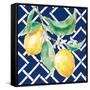 Everyday Chinoiserie Lemons I-Mary Urban-Framed Stretched Canvas