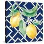 Everyday Chinoiserie Lemons I-Mary Urban-Stretched Canvas