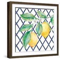 Everyday Chinoiserie Lemons II-Mary Urban-Framed Art Print