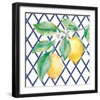 Everyday Chinoiserie Lemons II-Mary Urban-Framed Art Print