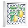 Everyday Chinoiserie Lemons II-Mary Urban-Framed Art Print