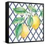 Everyday Chinoiserie Lemons II-Mary Urban-Framed Stretched Canvas