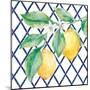 Everyday Chinoiserie Lemons II-Mary Urban-Mounted Art Print