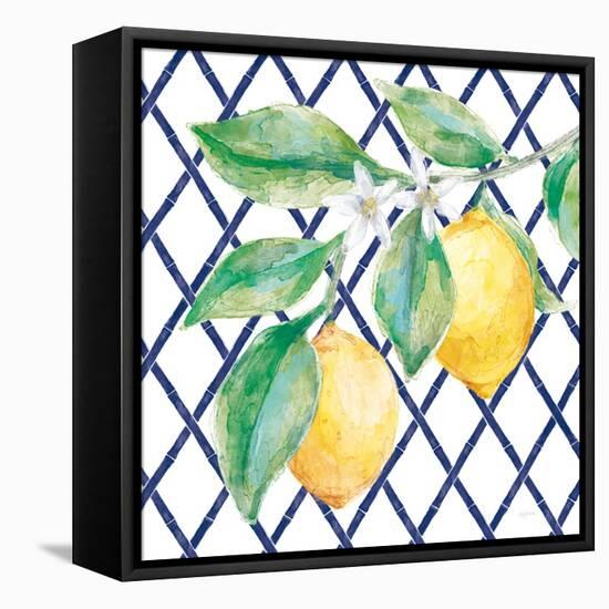 Everyday Chinoiserie Lemons II-Mary Urban-Framed Stretched Canvas