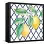 Everyday Chinoiserie Lemons II-Mary Urban-Framed Stretched Canvas