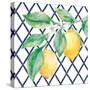 Everyday Chinoiserie Lemons II-Mary Urban-Stretched Canvas