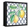Everyday Chinoiserie Lemons II-Mary Urban-Framed Stretched Canvas