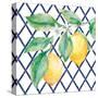 Everyday Chinoiserie Lemons II-Mary Urban-Stretched Canvas