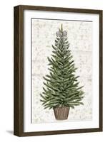 Everygreen Christmas Tree-PI Studio-Framed Art Print