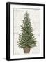 Everygreen Christmas Tree-PI Studio-Framed Art Print