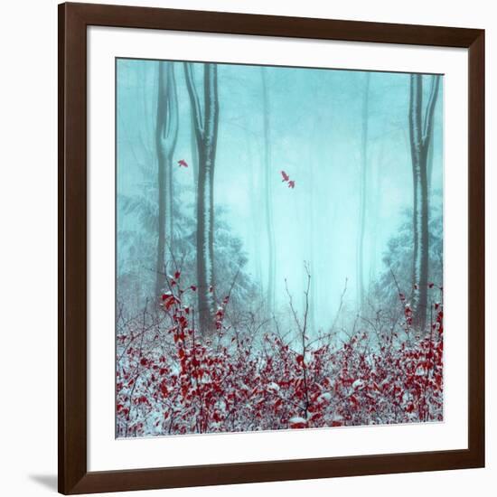 Everything and More-Dirk Wuestenhagen-Framed Art Print