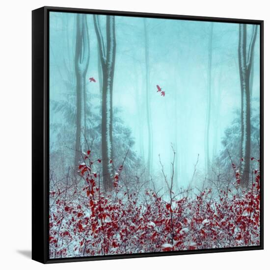 Everything and More-Dirk Wuestenhagen-Framed Stretched Canvas